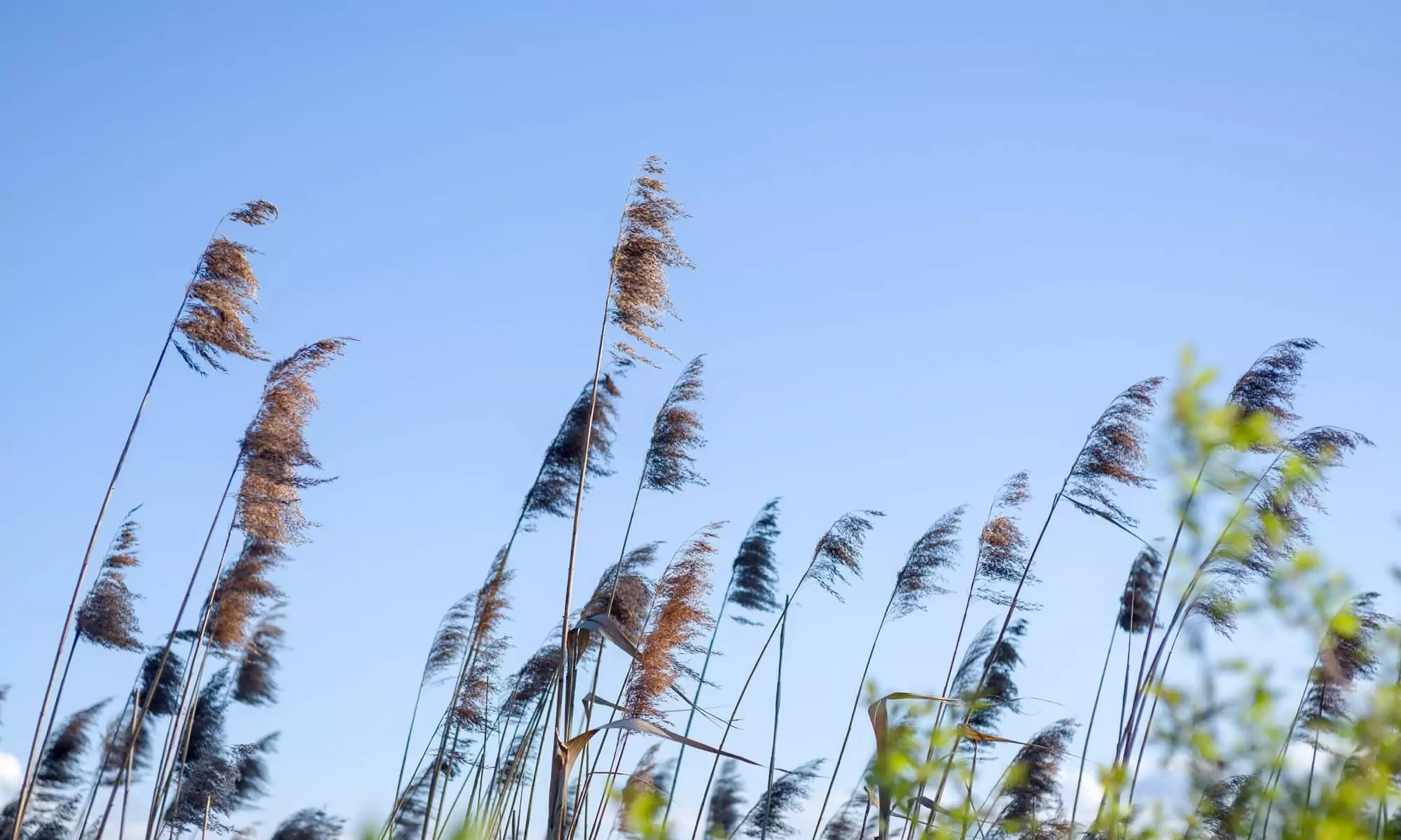 Hintergrundbild